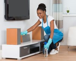 Young African Woman Cleaning Furniture In Living Room